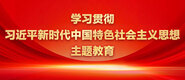 白虎穴嫩学习贯彻习近平新时代中国特色社会主义思想主题教育_fororder_ad-371X160(2)